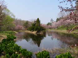 中央農園風景